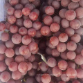 China xinjiang grape sweet grape fresh red grape